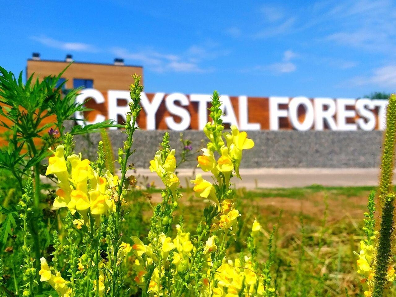 Котеджне селище CRYSTAL FOREST - Фото1 від best-dom.com.ua
